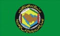 GCC flag